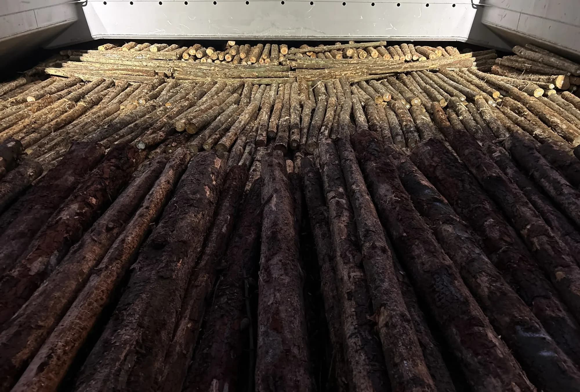 Logs laid fore and aft, voids filled, nothing left free to shift at sea.