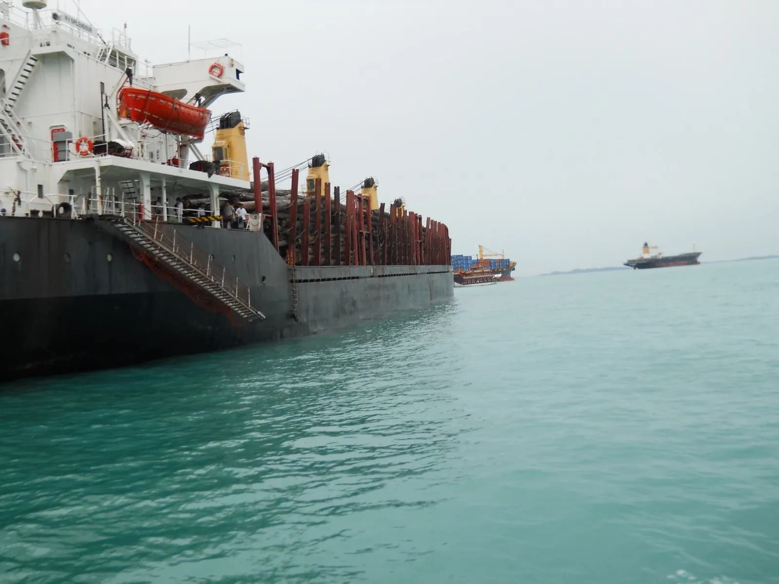 A loaded log carrier standing out through a crowded anchorage